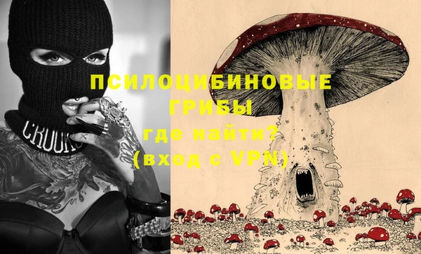 a pvp Алексин