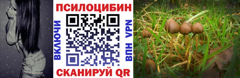 Псилоцибиновые грибы Psilocybe  ОМГ ОМГ онион  shop Telegram  Бахчисарай 